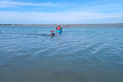 Hayling Island Circumnavigation