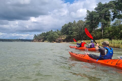 Brownsea Island Kayak Tour